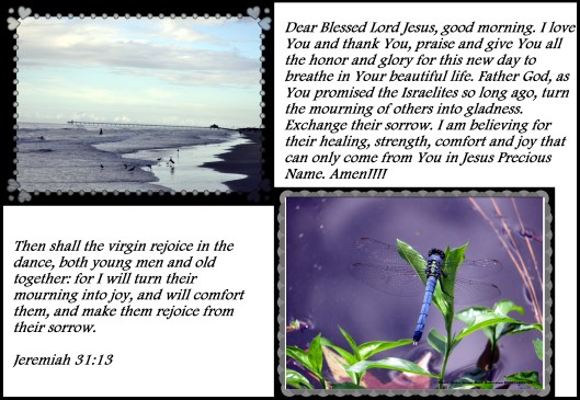 © Photo Artist Susan Ruth Robertson 090025006100 004 - Copy (3).JPG