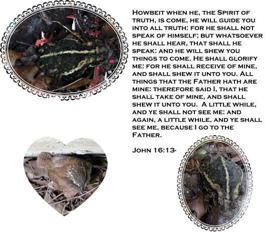 © Photo Artist Susan Ruth Robertson 090025006100 008 - Copy.JPG