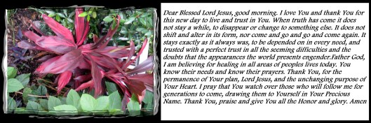 © Photo Artist Susan Ruth Robertson 090025006100 013 - Copy.JPG