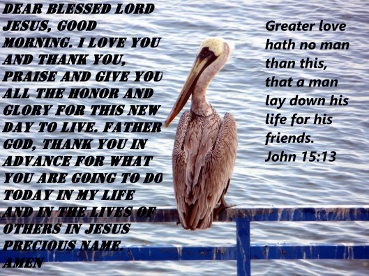 © Photo Artist Susan Ruth Robertson 090025006100 014 - Copy.JPG