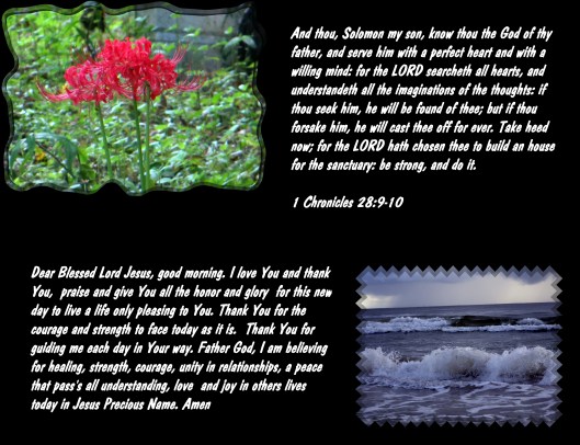 © Photo Artist Susan Ruth Robertson 090025006100 015 - Copy.JPG