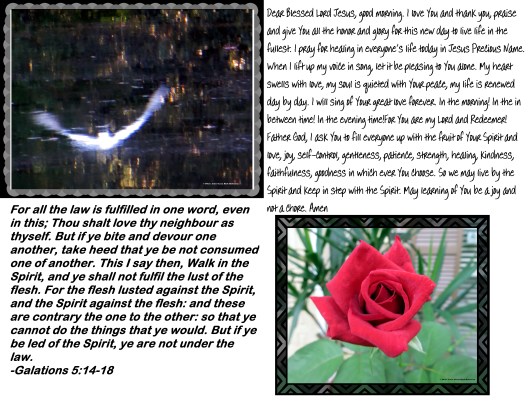 © Photo Artist Susan Ruth Robertson 090025006100 015 - Copy.JPG