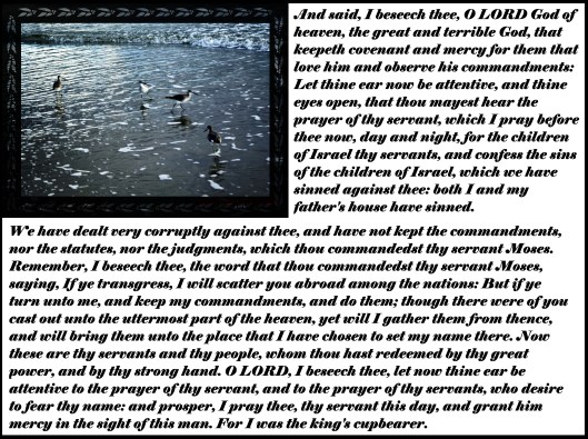 © Photo Artist Susan Ruth Robertson 090025006100 016 - Copy.JPG