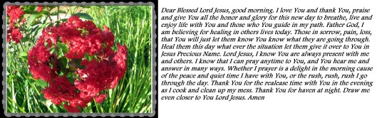 © Photo Artist Susan Ruth Robertson 090025006100 024 - Copy - Copy.JPG