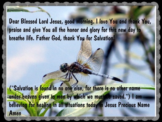 © Photo Artist Susan Ruth Robertson 090025006100 032 - Copy.JPG