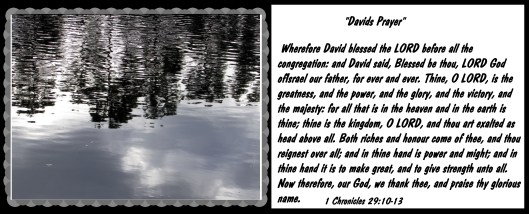 photo-artist-susan-ruth-robertson-090025006100-035-copy