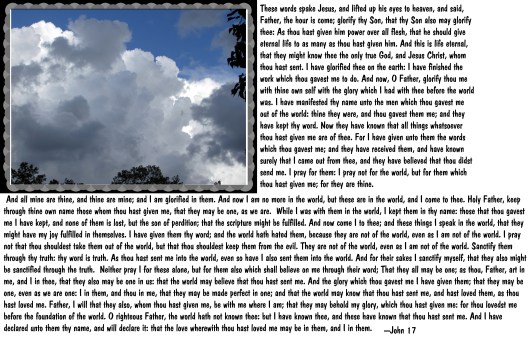 © Photo Artist Susan Ruth Robertson 090025006100 037 - Copy.JPG