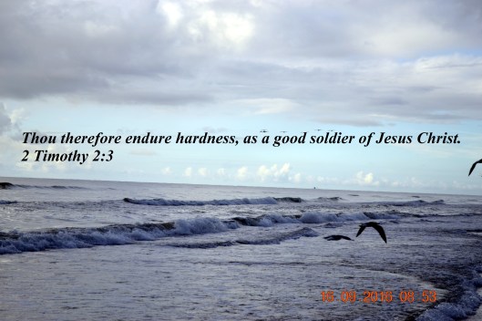 © Photo Artist Susan Ruth Robertson 090025006100 039 - Copy.JPG