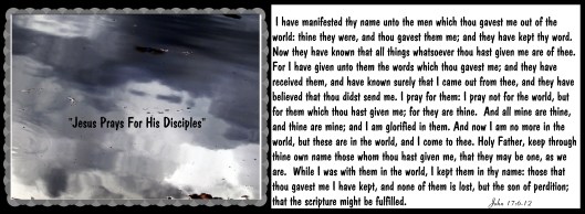 © Photo Artist Susan Ruth Robertson 090025006100 039 - Copy.JPG