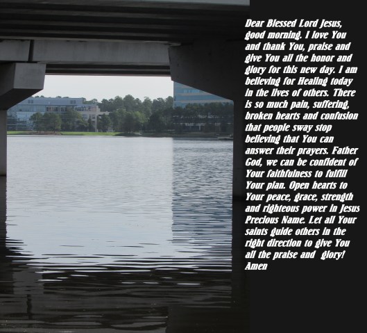 © Photo Artist Susan Ruth Robertson 090025006100 (74) - Copy.JPG