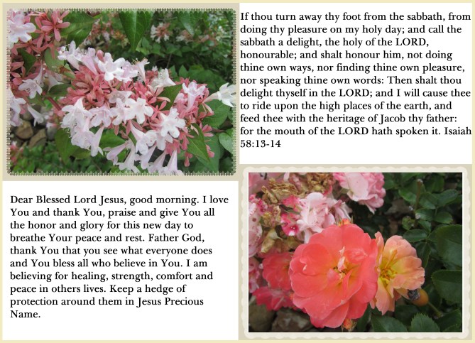 © Photo Artist Susan Ruth Robrtson 090025006100 013 - Copy.JPG