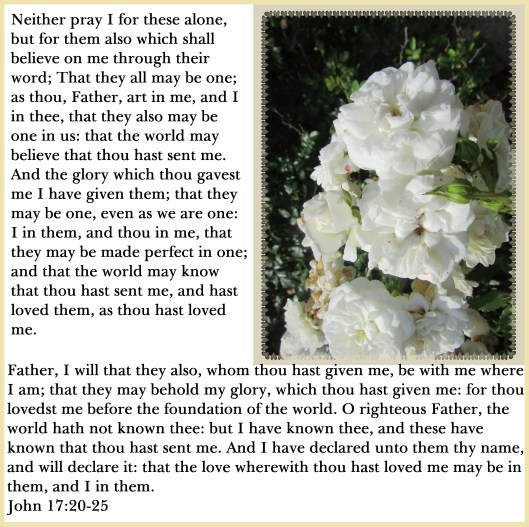 © Photo Artist Susan Ruth Robrtson 090025006100 017 - Copy.JPG