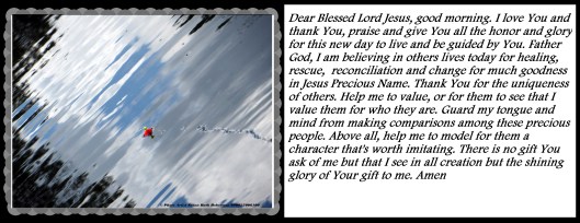 © Photo Artist Walter J. Robertson Sr. 050025004500 023 - Copy.JPG