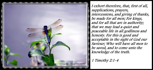 © Photo Artist Walter J. Robertson Sr. 050025004500 024 - Copy.JPG