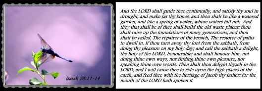 © Photo Artist Walter J. Robertson Sr. 050025004500 033 - Copy.JPG