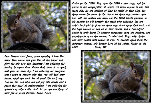© Photo Artist Susan Ruth Robertson 090025006100 004 - Copy.JPG