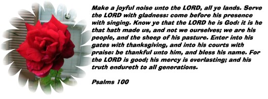 © Photo Artist Susan Ruth Robertson 090025006100 006 - Copy.JPG