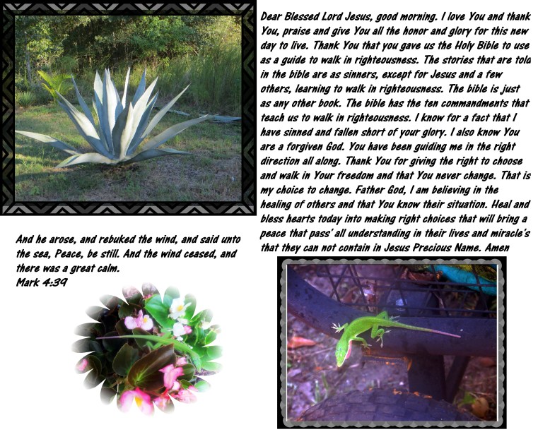 © Photo Artist Susan Ruth Robertson 090025006100 006 - Copy.JPG