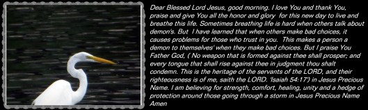 © Photo Artist Susan Ruth Robertson 090025006100 007 - Copy.JPG