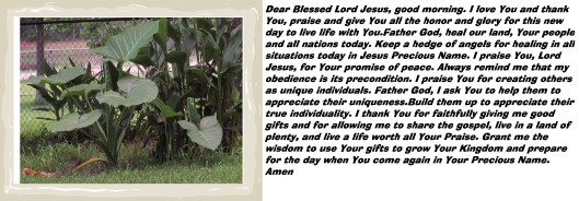 © Photo Artist Susan Ruth Robertson 090025006100 011 - Copy.JPG