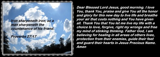 © Photo Artist Susan Ruth Robertson 090025006100 013 - Copy.JPG