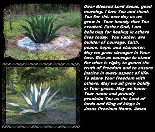 © Photo Artist Susan Ruth Robertson 090025006100 016 - Copy.JPG