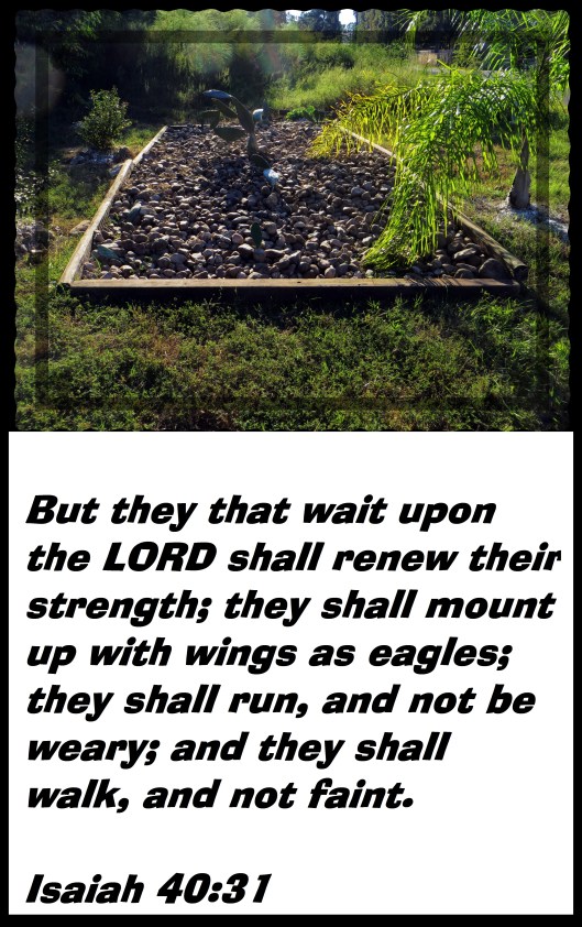 © Photo Artist Susan Ruth Robertson 090025006100 022 - Copy.JPG