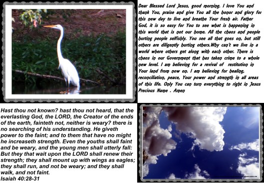 © Photo Artist Susan Ruth Robertson 090025006100 023 - Copy.JPG