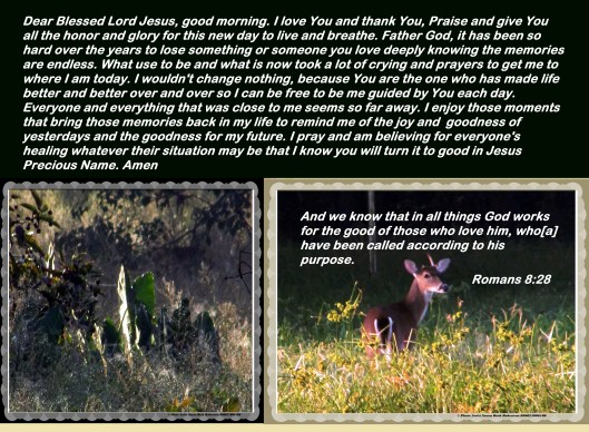 © Photo Artist Susan Ruth Robertson 090025006100 026.JPG