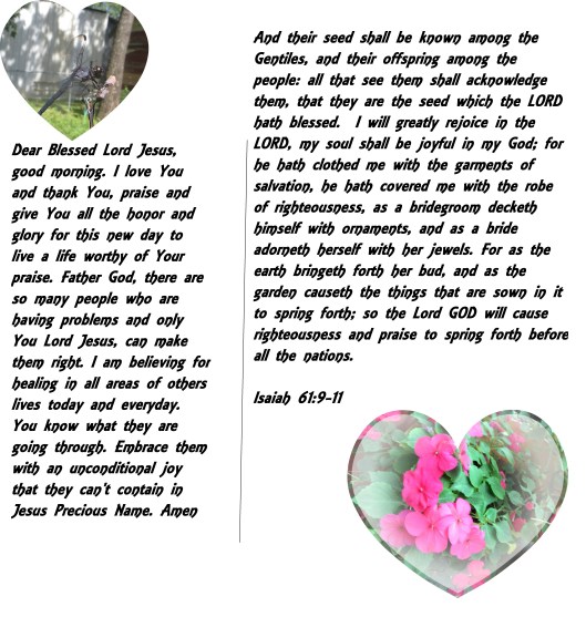 © Photo Artist Susan Ruth Robertson 090025006100 029 - Copy.JPG