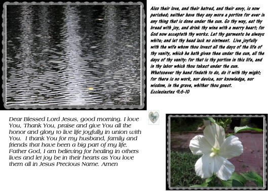 © Photo Artist Susan Ruth Robertson 090025006100 040 - Copy.JPG