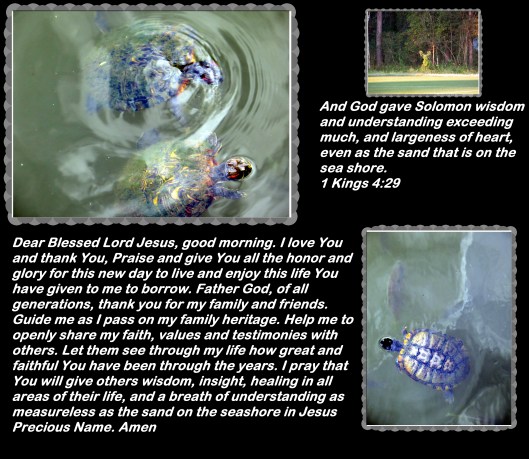 © Photo Artist Susan Ruth Robertson 090025006100 058 - Copy.JPG