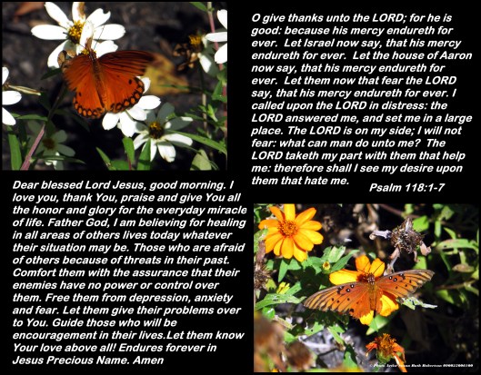 © Photo Artist Susan Ruth Robertson 090025006100 059 - Copy.JPG