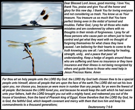 SX260 HS © Photo Artist Susan Ruth Robertson 090025006100 018 - Copy.JPG