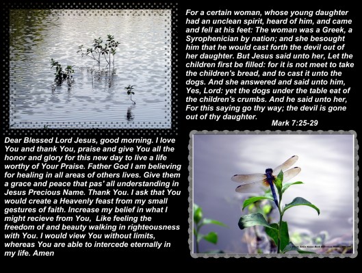 SX400 IS © Photo Artist Susan Ruth Robertson 090025006100 034 - Copy.JPG