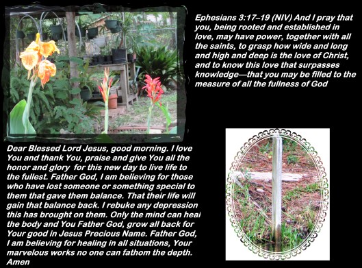SX400IS © Photo Artist Susan Ruth Robertson 090025006100 005 - Copy.JPG