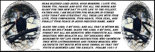 15058646_1279909132059147_1584880529_n - Copy.jpg