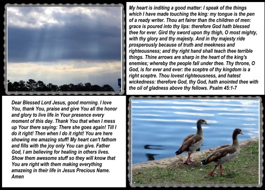 © Phot Artist Susan Ruth Robertson 090025006100 004.JPG