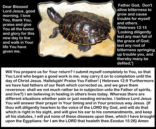 © Photo Artist Susan Ruth Robertson 090025006100 002 - Copy.JPG