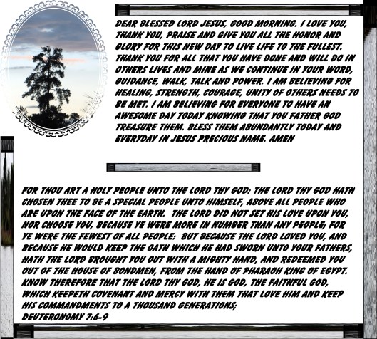 © Photo Artist Susan Ruth Robertson 090025006100 002 - Copy.JPG