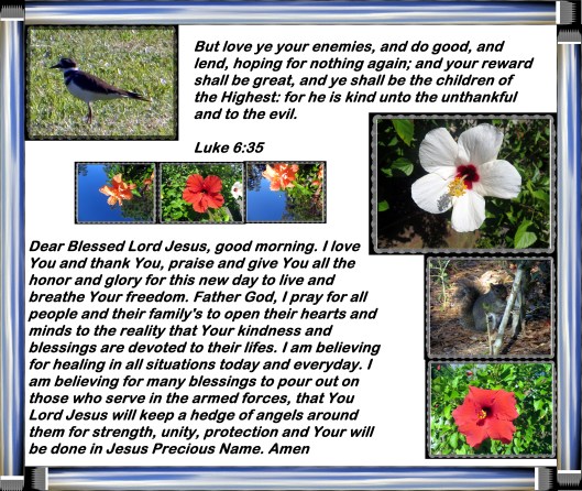 © Photo Artist Susan Ruth Robertson 090025006100 003 - Copy.JPG
