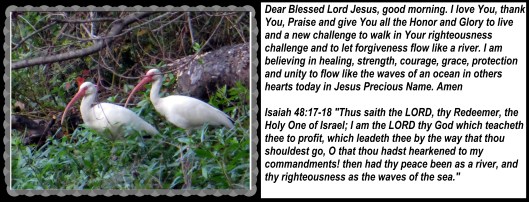 © Photo Artist Susan Ruth Robertson 090025006100 008 - Copy.JPG