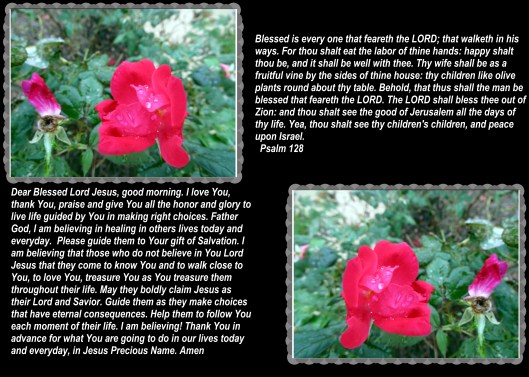 © Photo Artist Susan Ruth Robertson 090025006100 010 - Copy.JPG