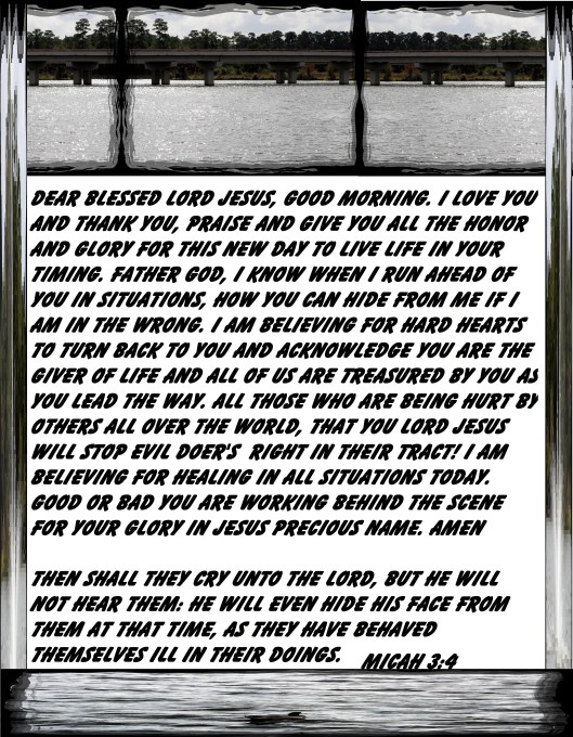 © Photo Artist Susan Ruth Robertson 090025006100 011 - Copy.JPG