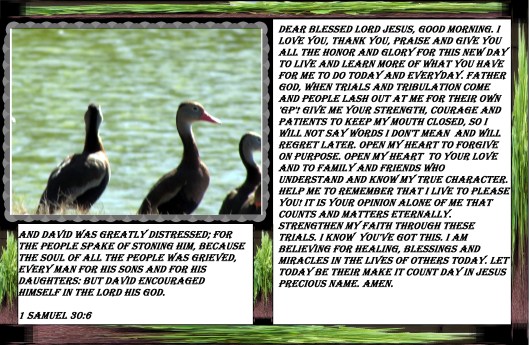 © Photo Artist Susan Ruth Robertson 090025006100 015 - Copy.JPG