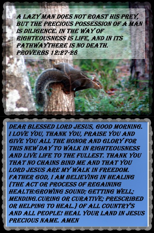 © Photo Artist Susan Ruth Robertson 090025006100 015 - Copy.jpg