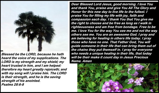 © Photo Artist Susan Ruth Robertson 090025006100 019 - Copy.JPG