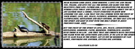 © Photo Artist Susan Ruth Robertson 090025006100 033 - Copy.JPG