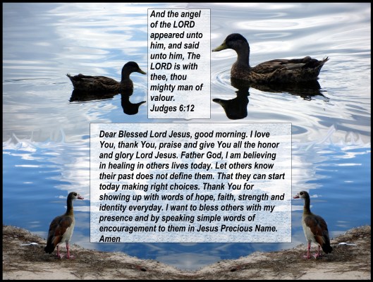 © Photo Artist Susan Ruth Robertson 090025006100 099 - Copy.JPG