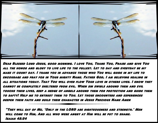 SX260 HS © Photo Artist Susan Ruth Robertson 090025006100 047 - Copy (2).JPG